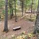 campsite in the trees showing wooden bench