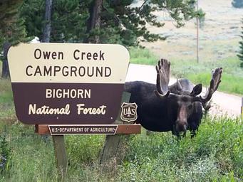 Owen Creek Campground Main Entrance Sign