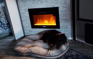 The Miller's pet friendly get away.
