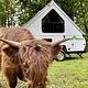 Cute + Minimal A-frame (Aliner)