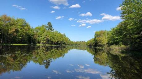 Maine Forest Yurts