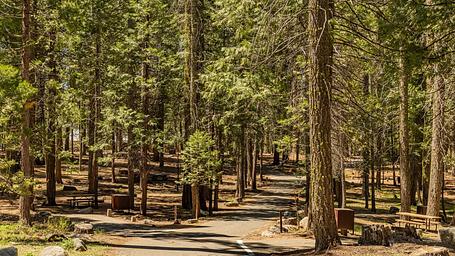 Meadowview Campground
