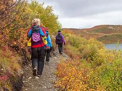 Tangle Lakes Foot Trail 