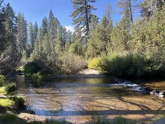 1, Loop: AREA SILVER CREEK GROUP CAMPGROUND