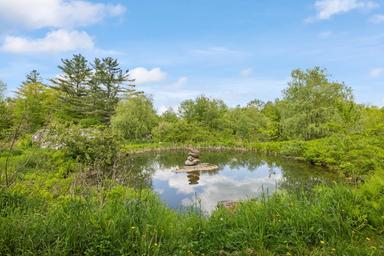 Streeter Mountain Farm
