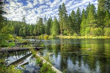 ALLEN SPRINGS CAMPGROUND2