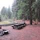 Fire ring and picnic tables on flat needle covered ground in pine forest