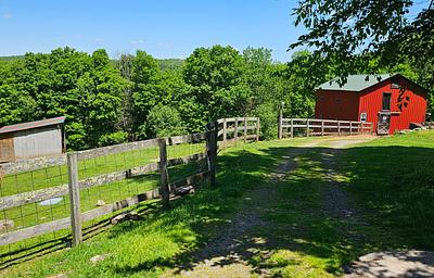 RV - 6 Miles to Bethel Woods set up on sheep farm
