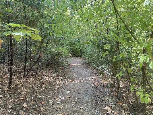GA1, Loop: Bridal Veil Picnic Grounds