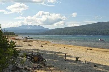 Contorta Flat Campground