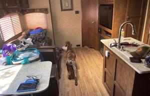 Beautiful Colorado Mountain Camping Vacation