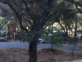 Buckeye Flat Campground