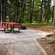 Picnic table, fire ring and grill in forest setting