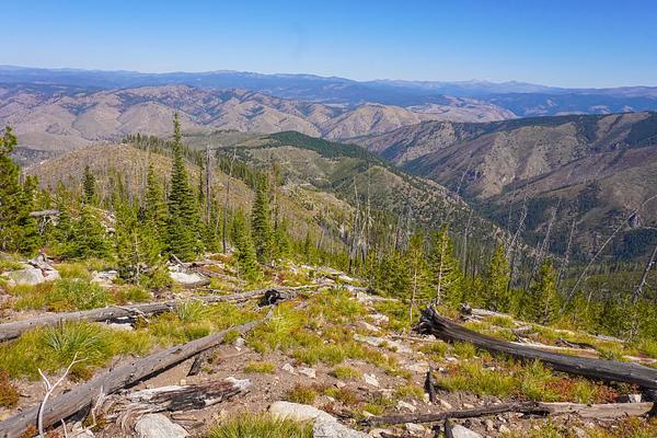 01, Loop: AREA MEDICINE POINT LOOKOUT