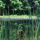 Campspot slideshow image 5