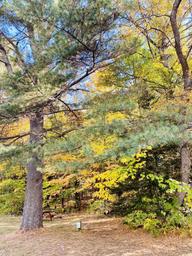 Twin Mountain Campground