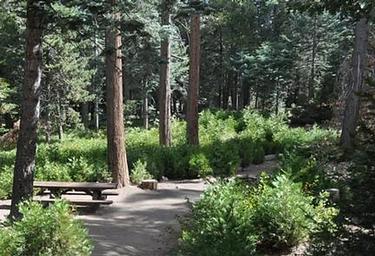 Beautiful view of Dogwood Campground