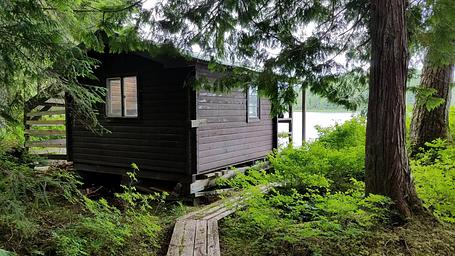 Honker Lake Cabin3