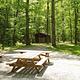 Williams Branch Group Picnic Area