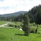 LANGOHR CAMPGROUND - campground road with pine trees & camperLangohr Campground