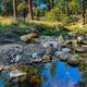 Seasonal stream near Bandido