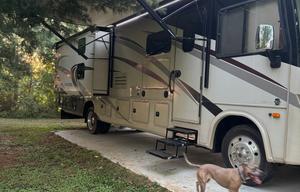 Perfect for Festivals, Tailgates & Family Trips