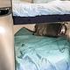 The Gambler 2022 Prime Time RV Tracer 235BH