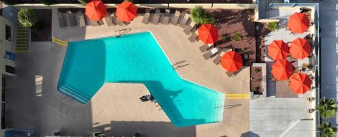 Top-down aerial of the pool deck with umbrellas and lounge chairs — good overhead amenity shot for the gallery and appears on the site.