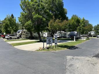 Clear view of an internal park island with speed limit signage and surrounding RV sites — gives an overall sense of the park roads and site spacing (photos page).