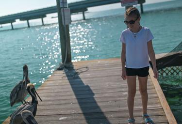 Fiesta Key RV Resort and Marina