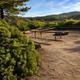 Shrubs and group fire rings