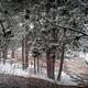 Campspot slideshow image 5