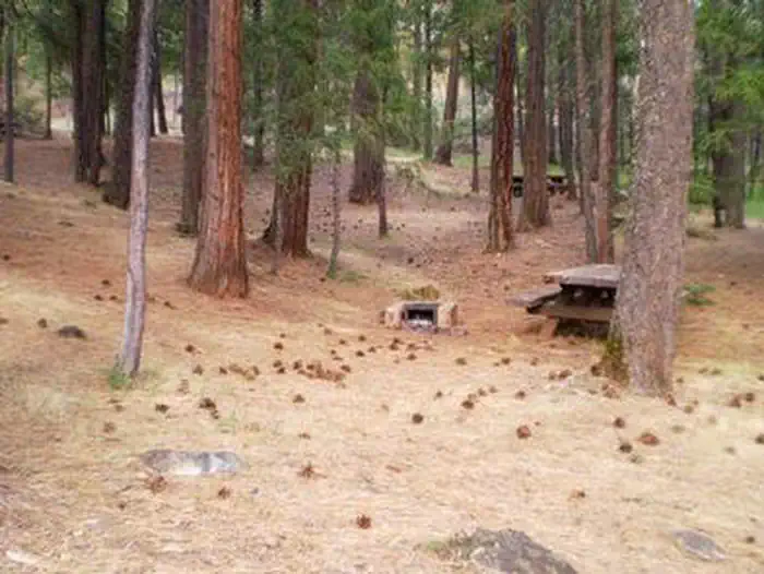 Stoney Group Shasta-trinity