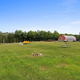 Campspot slideshow image 2