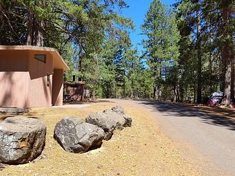 View of Penny Pines Campground