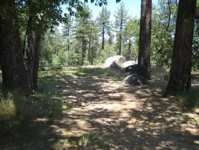 Wooded Hill Group