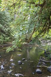 Clay Creek Recreation Site