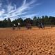 Black Horse Resort Ranch
