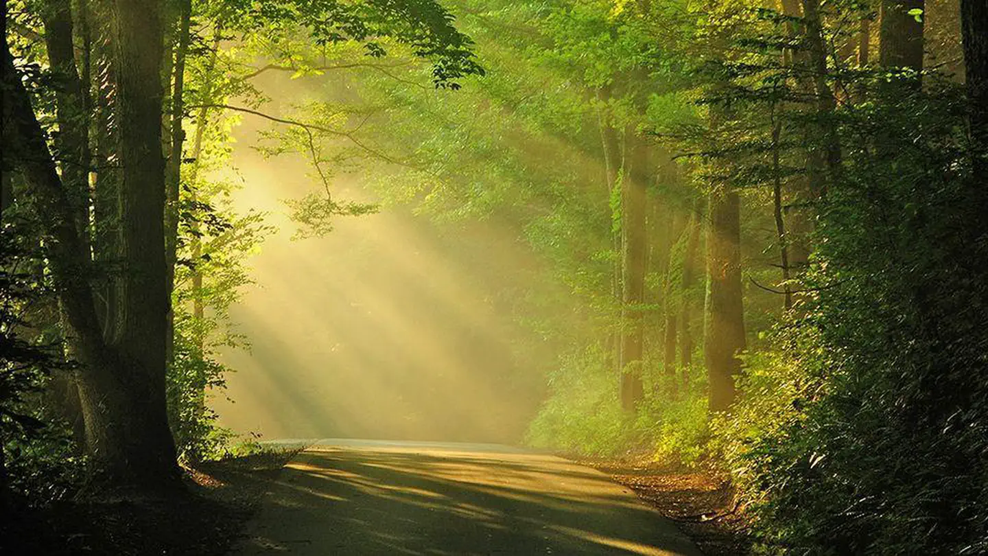 Round Bottom Horse Camp