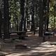 Naturally Shaded Picnic Tables, Fire Ring and BBQ Grill at Pineknot Campground