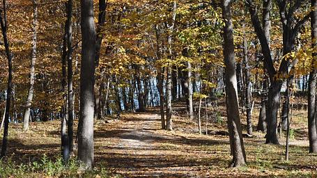 Acorn Valley