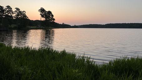 Beaver Dam Campground (Kisatchie National Forest, LA)