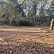 A photo of a campsite at Chickamauga Battlefield in the fall, featuring a tent pad, picnic table, and lantern poles.