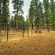 GRAHAM CORRAL HORSE CAMPGROUND