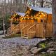 Exterior view of multiple Roamstead Safari Tents with glowing string lights in a wooded setting.