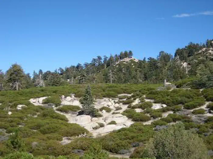 Shady Cove Group Campground
