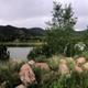 Panoramic lakeside scene with dock and visible campsites/cleared areas across the water — illustrates waterfront amenities and setting; appears on the home page background images.
