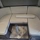 Wander in Style: Spacious Mercedes Class C 2020