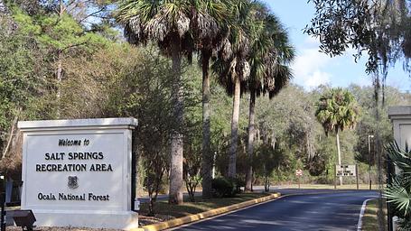 Salt Springs Recreation Area