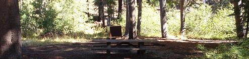 Agnew Horse Camp